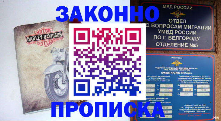 прописка для школы в Кинешме
